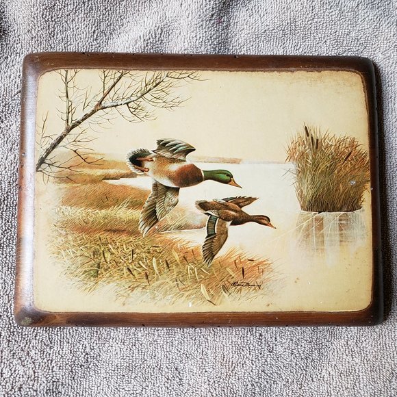 Ruane Manning Art Print Mallard Ducks Flying over Pond Lacquered to Wood - Picture 1 of 9